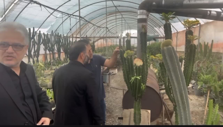 بازدید رئیس سازمان نظام مهندسی کشاورزی و منابع طبیعی کشور از شهرک گلخانه ای کیشستان