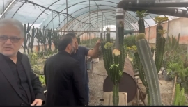 بازدید رئیس سازمان نظام مهندسی کشاورزی و منابع طبیعی کشور از شهرک گلخانه ای کیشستان